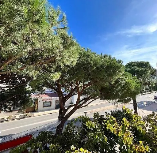 Joli Studio Calvi 50M Plage