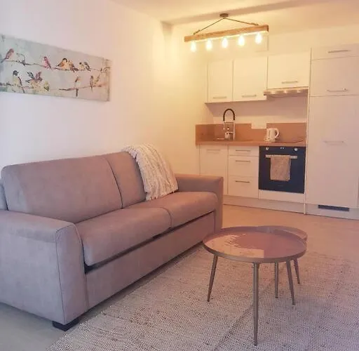 Joli Studio Calvi 50M Plage